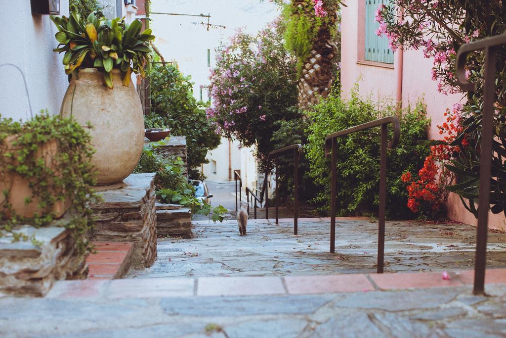 Regina'S Banyuls - Spatious Apartment Next To The Beach Exterior photo